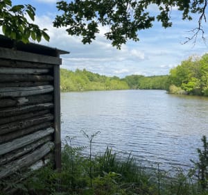 La rando dynamique à Saint-Estèphe - Saint-Estèphe - 3
