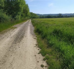 Balade Vélo Tout Chemin dans et autour de Venarey-Les Laumes - Venarey-les-Laumes - 4