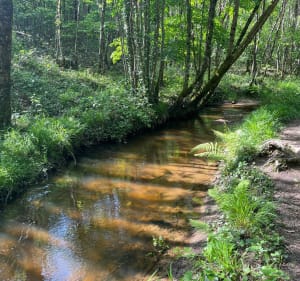 La rando dynamique à Saint-Estèphe - Saint-Estèphe - 5