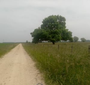 Boucle à Bey le long de la Saône - Bey - 3