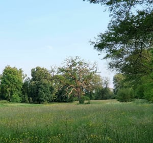 Boucle à vélo au sud de Nantes aux Sorinières - Nadège - 3