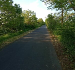 Le long des pistes cyclables entre la campagne et la ville de Mondeville - Mondeville - 3