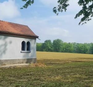 Walheim vers Pfetterhouse Sud Sundgau - Walheim - 4