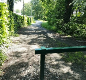 Petit tour des bois de Lons et Lescar - Lons - 3