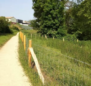 Le chemin du ruisseau à St-Christophe du Bois - EG - 3