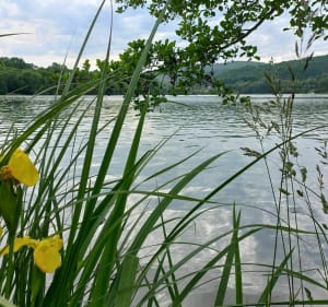 Boucle au dessus du lac du Causse - Lissac-sur-Couze - 3
