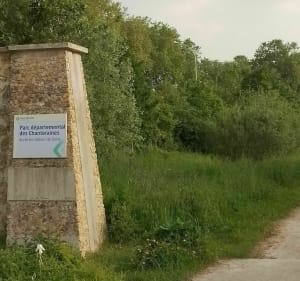 À travers les parcs du 92 et 93 - Asnières-sur-Seine - 4