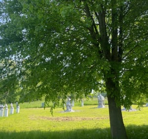 Balade aux abords de Mouvaux, Bondues et le Château de Vert Bois - Ingalle - 4