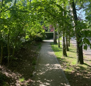 Balade aux abords de Mouvaux, Bondues et le Château de Vert Bois - Ingalle - 5