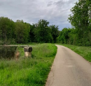 Etang des Léchères et Saint-Paul-de-Varax - Saint-Paul-de-Varax - 3