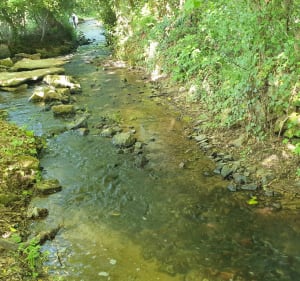 De vallon en vallée dans le Bocage - Cherbourg-en-Cotentin - 3