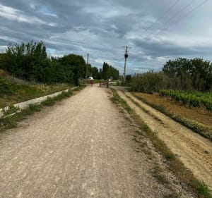 Dans les vignobles de Maraussan à Cazouls - Maraussan - 3