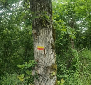 Sortie par Vals-le-Chastel et le Doulon - Frugières-le-Pin - 3