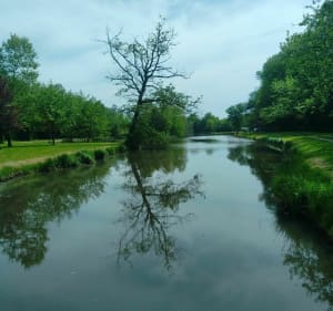 Découverte de Châtenoy, entre les champs et le canal - Châtenoy - 3