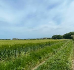 Graye-sur-Mer entre champs et plages - Gaelle - 4