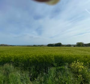 Graye-sur-Mer entre champs et plages - Gaelle - 3