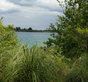 Prachtige wandeling rond het meer van Arjuzanx - Morcenx-la-Nouvelle - 4