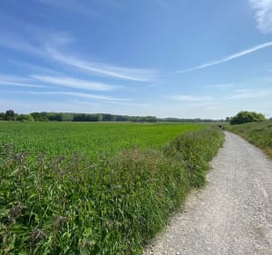 De Ascq aux fermes du Héron à VTC - Villeneuve-d'Ascq - 3