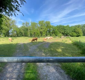 De Ascq aux fermes du Héron à VTC - Villeneuve-d'Ascq - 4
