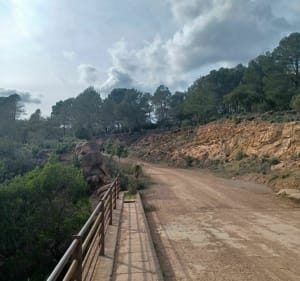 Belle Balade sur chemins à Puget-sur-Argens côté Roquebrune - Puget-sur-Argens - 4