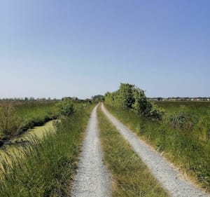 Sortie côté mer et côté marais sur Cabourg - Varaville - 4
