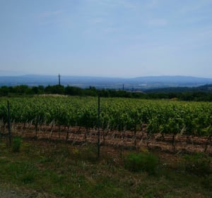 Haut Darbousset et Croix de Liby - Bourg-Saint-Andéol - 3