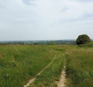 Entre Terre & Loire à Saint-Rémy-la-Varenne - Brissac-Loire-Aubance - 3
