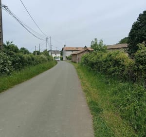 Par le Bois de la Liche et Chaume du Puits - Valence-en-Poitou - 3