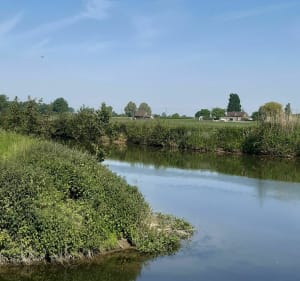 Boucle de VTT entre Merville, Lestrem  et La Gorgue - Merville - 5