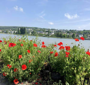 Boucler la boucle en Seine-Maritime - Duclair - 3