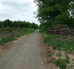 Olhain : bois, campagne et château - Hervé - 5