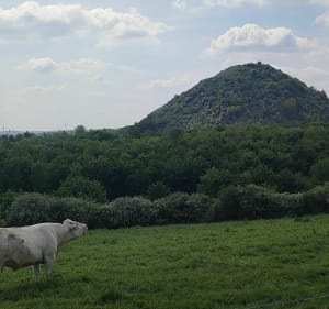 Auchel et Marles-les-Mines par les Voyettes - Auchel - 4