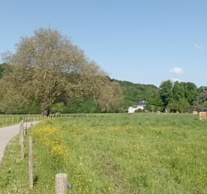 Balade des deux Parcs dans la Vallée du Commerce - Lillebonne - 3