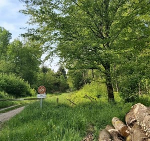 A vélo autour de Château-Thierry - FRANCOISE - 4
