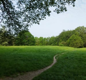 Escapade VTT sportive dans les bois de Clamart et de Meudon - Clamart - 3