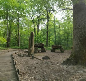 Escapade VTT sportive dans les bois de Clamart et de Meudon - Clamart - 4