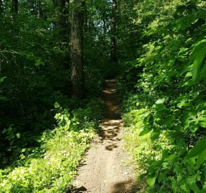 25 km de VTT de Cramant - Cramant - 4