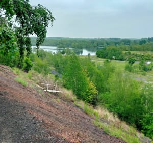 Balade autour et sur le terril de Rieulay - Rieulay - 5