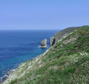 De la lande aux deux caps - Plévenon - 5