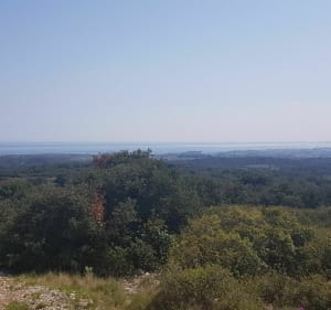 Boucle dans les collines entre Loupian et Bouzigues à VTT - Mèze - 3