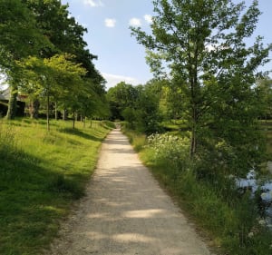 Wandeling van Cesson-Sévigné naar Thorigné-Fouillard - Cesson-Sévigné - 3