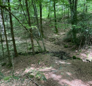 De Razes à Silord - Razès - 3