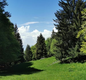 Grand piton via la boucle des convers - Présilly - 4