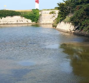 Tour de l'Île d Aix : promenez vous et prenez du plaisir - Île-d'Aix - 5