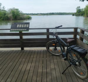 Entre Maine, Lac d'Angers et le Parc Balzac, un tour agréable à découvrir à vélo - Angers - 4