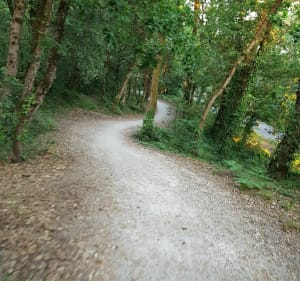 Le Sud de l'île d'Oléron à vélo Traverse - Saint-Trojan-les-Bains - 3