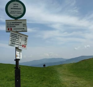 Route langs de Rothenbachkopf - Wildenstein - 3