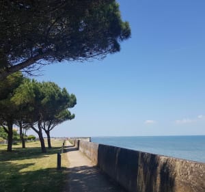 Le Sud de l'île d'Oléron à vélo Traverse - Saint-Trojan-les-Bains - 5