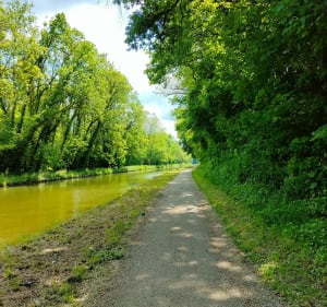 Nargis-Bagneaux le long du canal de Loing - Nargis - 4