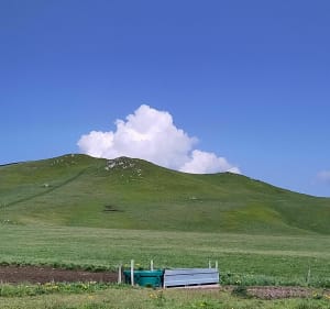 Le plateau du Guéry - Orcival - 5